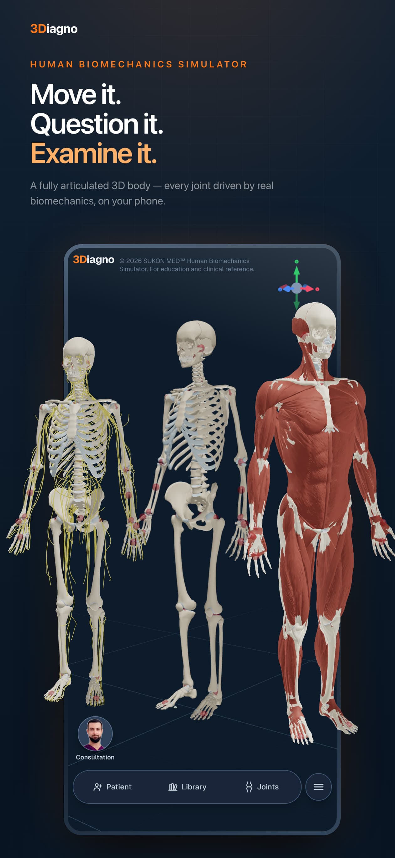 3Diagno in its light theme, showing nerve pathways in a seated posture 1