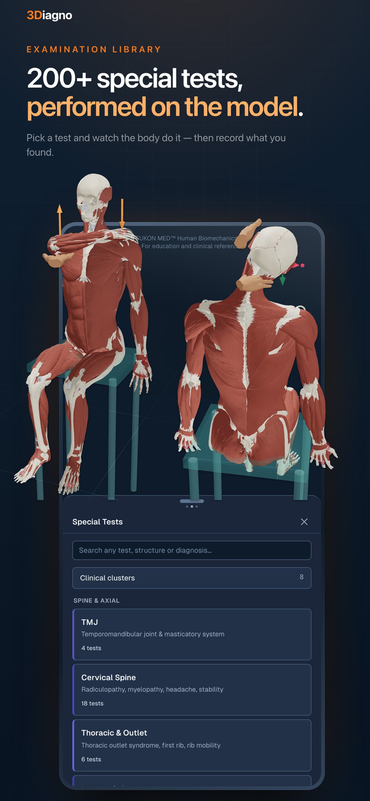 3Diagno in its light theme, showing nerve pathways in a seated posture 2