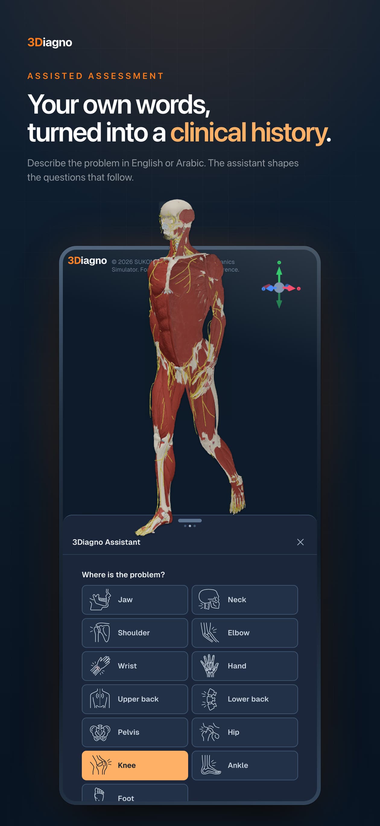 3Diagno in its light theme, showing nerve pathways in a seated posture 5