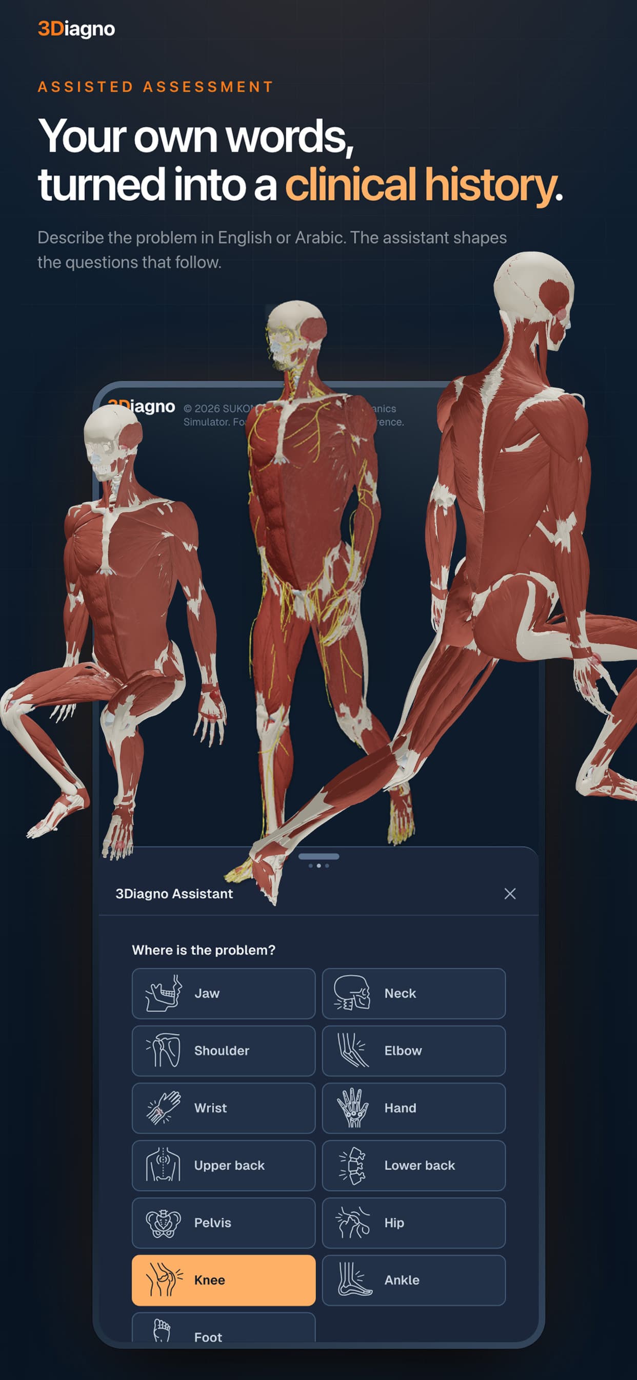 3Diagno in its light theme, showing nerve pathways in a seated posture 6